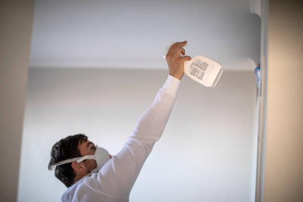 Best Insurance-Related Mold Remediation in Clawson, MI